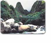 Iao Valley & Maui Tropical Plantation