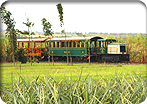 Grove Farm & Kauai Plantation Railway
