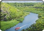 Wailua River Cruise & Fern Grotto