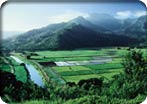 Hanalei Valley