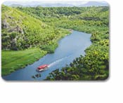 Wailua River Cruise & Fern Grotto