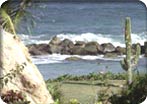 Cabo my Way