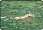 Sea Of Cortez Eco-Snorkeling Adventure