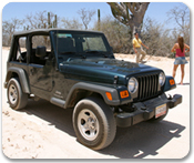 Baja Jeep�  Safari