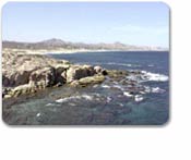 Coastal Highlights Tour