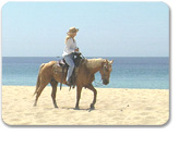 Beach Horseback Ride