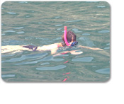 Chileno Bay Snorkeling Adventure