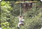 Canopy Adventure Tour