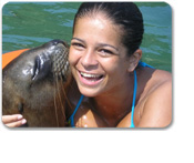 Las Caletas Sea Lion Snorkel Adventure
