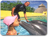 Dolphin Kids