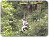 Canopy Adventure Tour
