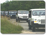 Jeep� Safari & Beach Adventure