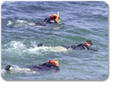 Lover's Cove Snorkel Tour