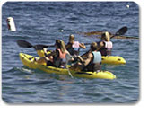 Catalina Kayak Expedition