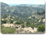 Cape Canyon Tour