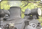 Port Alberni Steam Powered Adventure