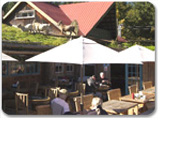 Coombs Country Market & Cathderal Grove
