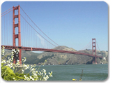 San Francisco City Sightseeing