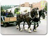 Victoria By Horse Drawn Trolley
