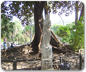 Cadiz Walking Tour