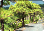 body_thumbnail