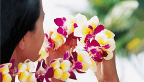 Hawaii