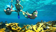 Experience The Bahamas