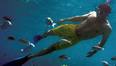 Experience The Caribbean