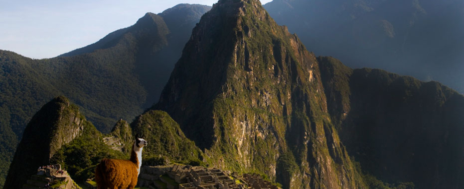 South America