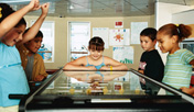 Voyagers (Ages 9-11)