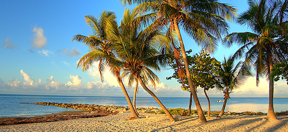 key west florida keys caribbean royal island wild port palms vacations town coqueiros usa