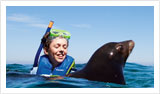 Shore Excursions