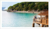 subhead_image
