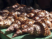 Haitian Cultural Tour