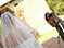 Videography