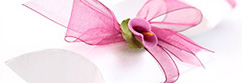Honeymoon Registry
