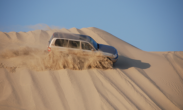 Desert Dune Safari
