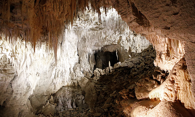 Ruakuri Caves Experience