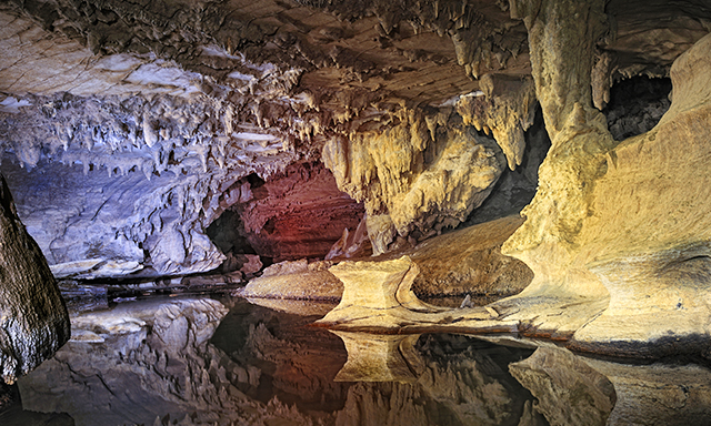 Glow Worm Caves and Te Waimate