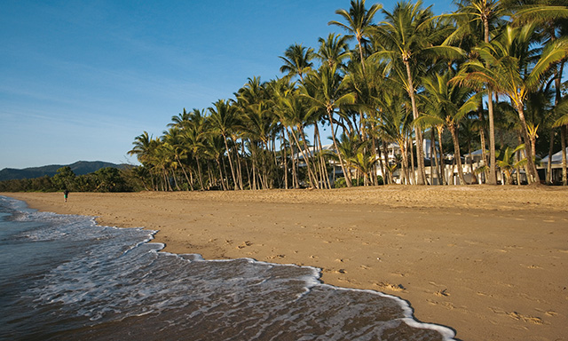 A Visit to Palm Cove 