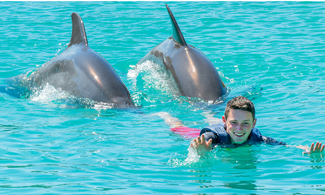 All-Inclusive VIP Dolphin Swim