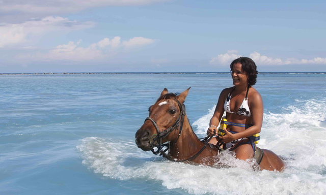 Chukka Horseback Ride N Swim