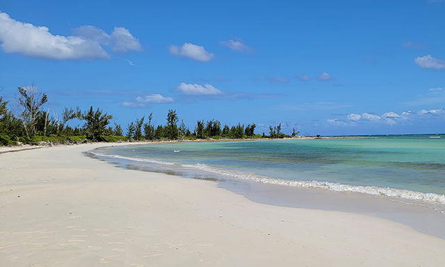 Maxxi's Bahamian Beach Club Access