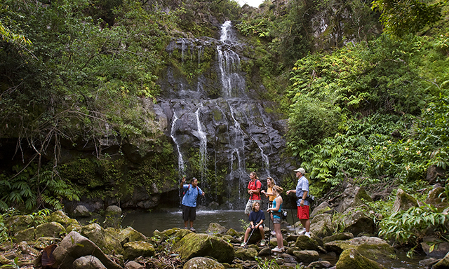 Kohala Waterfalls Adventure