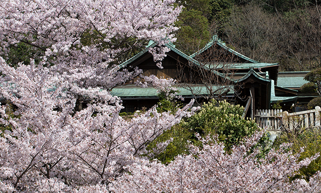 Kinkakuji Temple and Arashiyama District