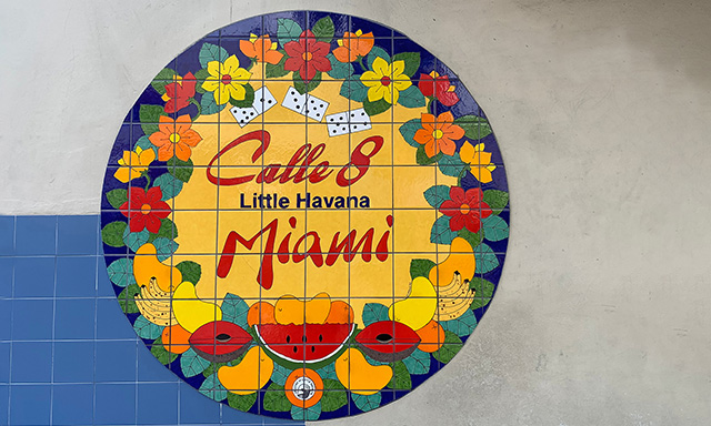 Miami Cultural Heritage & Culinary Day Tour