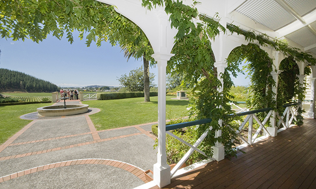 Wineries of Hawkes Bay