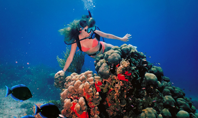 Aruba Discover Scuba Diving