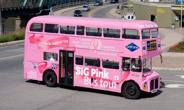 Big Pink Bus Hop On, Hop Off Tour