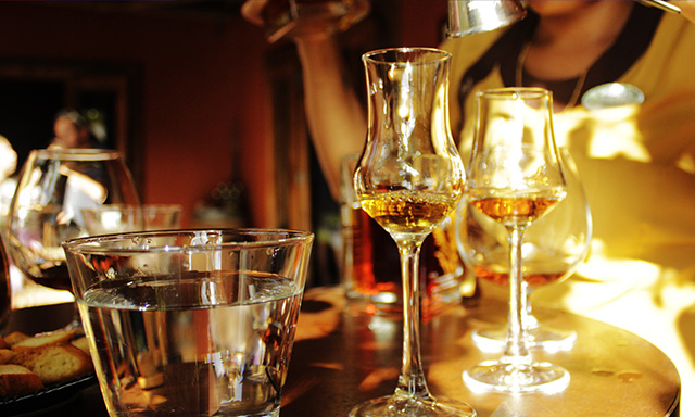 Rum Barrillito Tasting and Distillery	